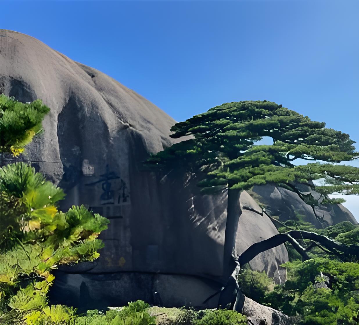 风景照片